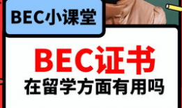教师吃瓜爆料视频播放网站,热门视频网站背后的故事